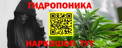 дживик Малгобек