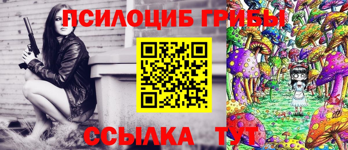 Псилоцибиновые грибы Psilocybe Ярцево